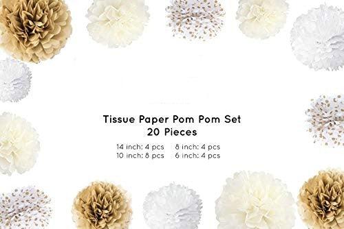 20 Pcs Tissue Paper Pom Poms Kit (14", 10", 8", 6" Tissue Paper Flowers) for Wedding, Birthday, Engagement Party Décor - Decotree.co Online Shop