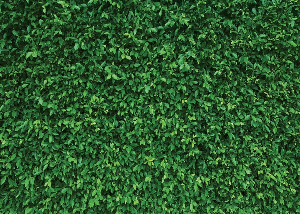 7x5FT Green Leaves Photography Backdrops Nature Backdrop Birthday Background - Decotree.co Online Shop