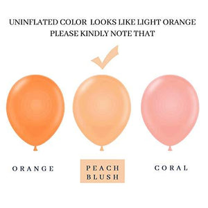 Blush Balloon Garland Arch Kit 125 Pcs 10 Inch Peach Balloons Party Balloons for Wedding Party Bridal Shower Baby Shower - Decotree.co Online Shop