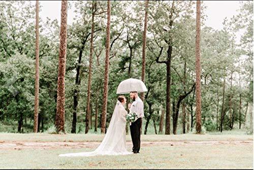 Bride Wedding Lace Veils Long Cathedral Veil Soft Tulle Bridal Veils with Comb 118" (White) - Decotree.co Online Shop