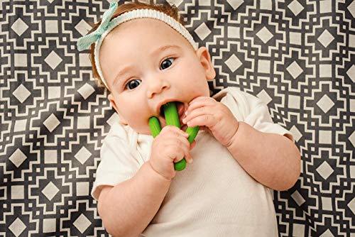 Cactus Baby Teething Toys for Newborn Infants and Toddlers - Self-Soothing Pain Relief Soft Silicone Teether - Decotree.co Online Shop