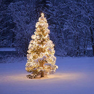 Christmas 100 Clear White Wire Light Set Christmas Decorations - Decotree.co Online Shop