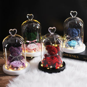 Eternal Preserved Fresh Rose Lovely Teddy Bear Molding Led Light In A Flask Immortal Rose Valentine's Day Mother's Day Gifts - Decotree.co Online Shop