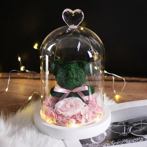 Eternal Preserved Fresh Rose Lovely Teddy Bear Molding Led Light In A Flask Immortal Rose Valentine's Day Mother's Day Gifts - Decotree.co Online Shop