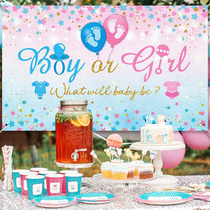 Gender Reveal Party Supplies Gender Reveal Background Boy or Girl Backdrop Blue Pink - Decotree.co Online Shop