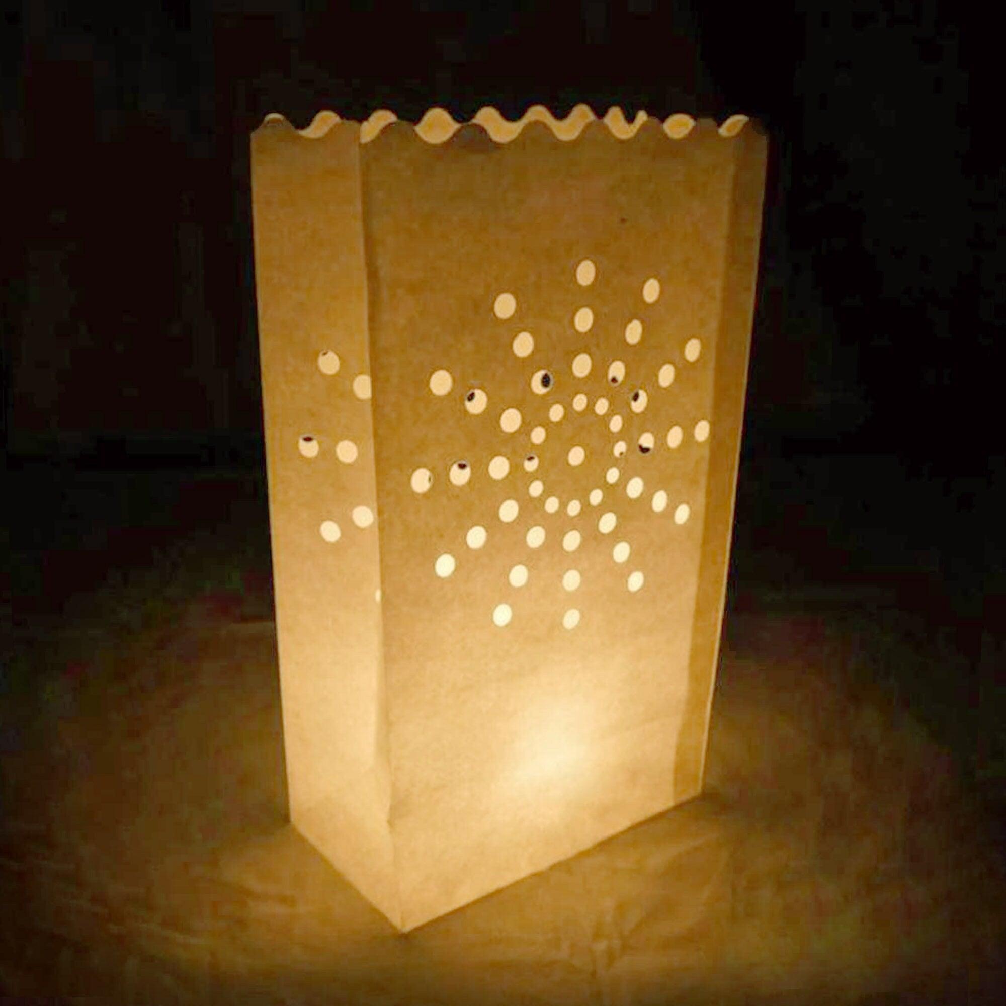 Light Up Paper Bags Kit-50pcs Luminaries For Wedding Aisle Decorations, Luminary Bags - Decotree.co Online Shop