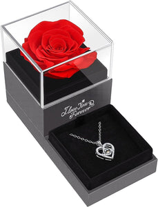 Preserved Red Real Rose with I Love You Necklace -Eternal Flowers Rose Gifts for Mom Wife - Decotree.co Online Shop