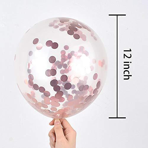 Rose Gold 21 Birthday Party Decorations Supplies, Pink Happy Birthday Banner, 21 Balloons, - Decotree.co Online Shop