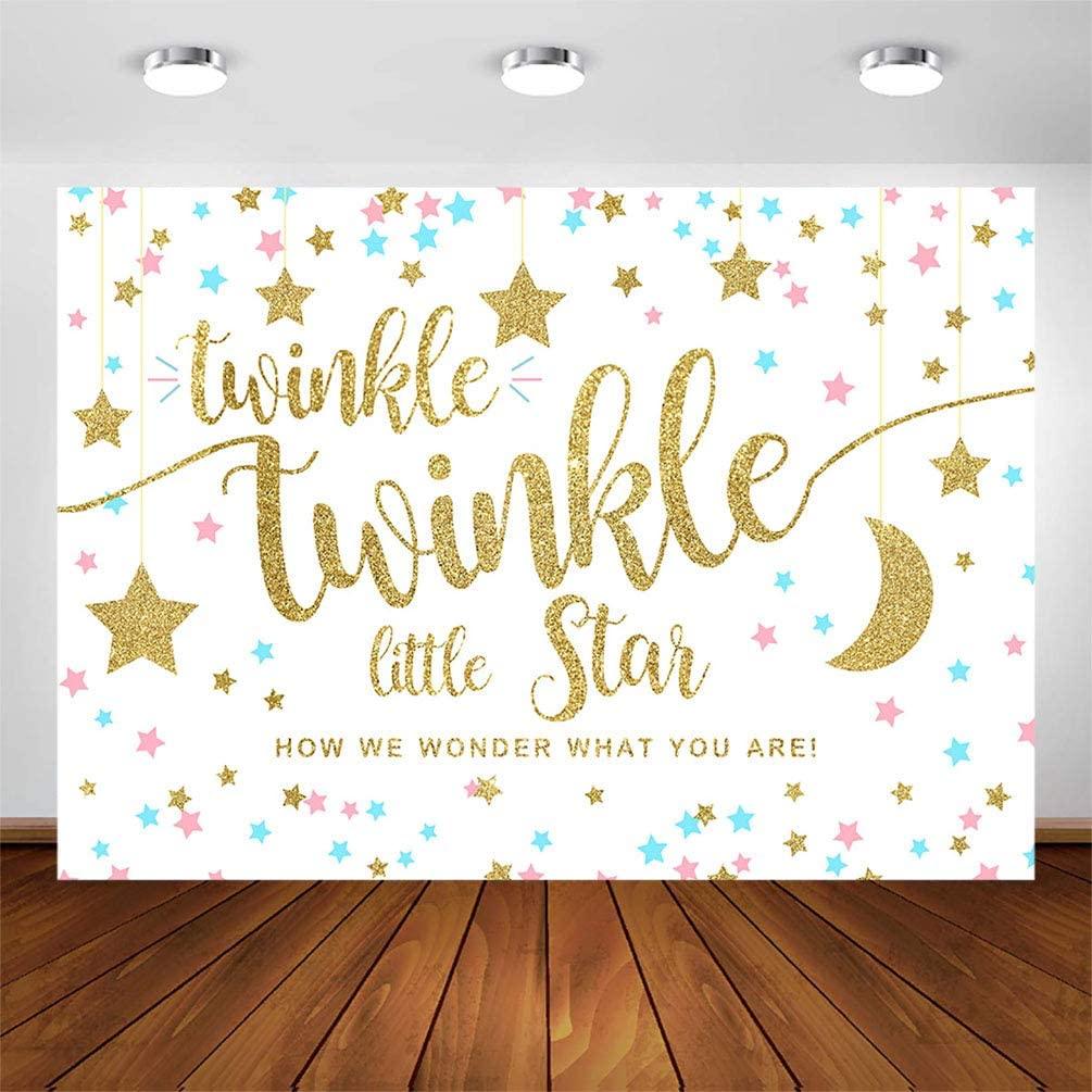 Twinkle Twinkle Little Star Gender Reveal Backdrop Pink Blue Gold Star Party Decorations - Decotree.co Online Shop