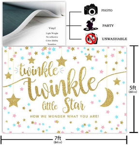 Twinkle Twinkle Little Star Gender Reveal Backdrop Pink Blue Gold Star Party Decorations - Decotree.co Online Shop