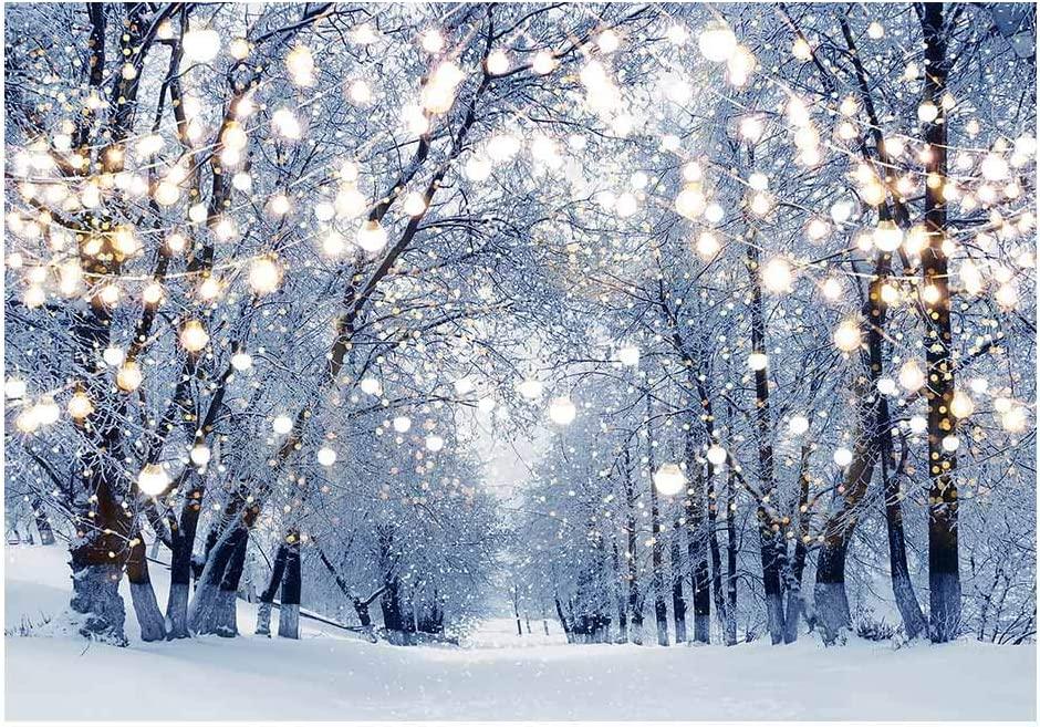 Winter Scene Backdrop Wonderland Snowflake Photography Background - Decotree.co Online Shop